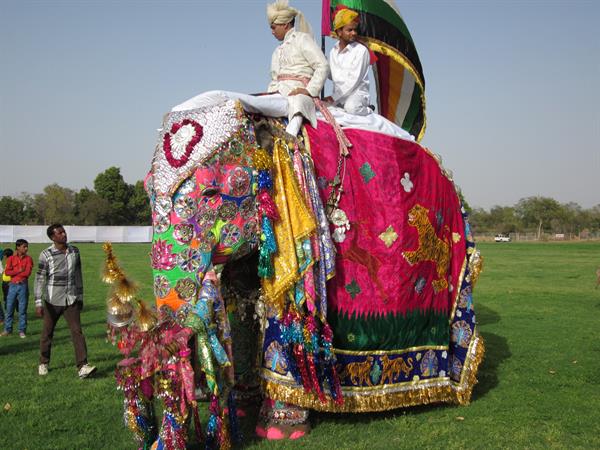Elephant_festivel_The_Elephant_Festival_is_a_unique_event_of_the_elephants_organized_on_the_eve_of_Holi_in_Jaipur,_the_capital_of_Rajasthan,_India_-_panoramio.jpg