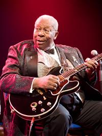 Ferenc Szelepcsenyi Shutterstock_B B King.jpg