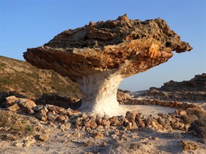 Shutterstock_2590179997_ stone mushroom_akmens sēne.jpg