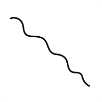 INESE_241228_smalka_viļņota_linija.png
