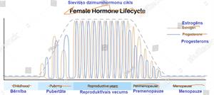 sievišķie hormoni.JPG