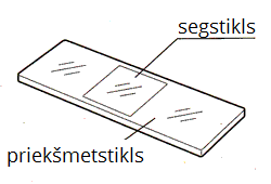 st.png
