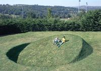 421 httpscommons.wikimedia.orgwikiFileRound_Balance_-Tanya_Preminger_2008_France_environmental_art.jpg.jpg