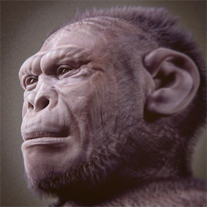 WIKI_20252008_Homo_habilis_-_forensic_facial_reconstruction.png