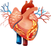 YCUZD_230908_5535_valis_3.png