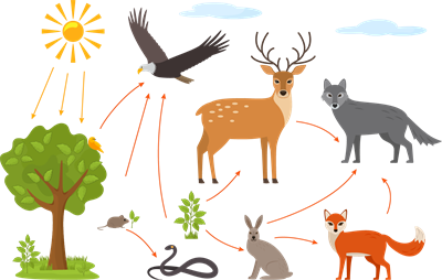 shutterstock_1987733192.png