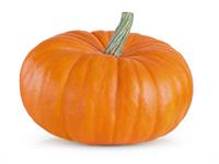 Shutterstock_2488506541_punpkin_ķirbis.jpg