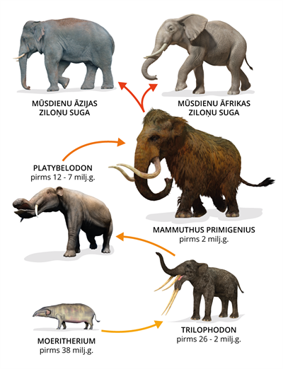 YCUZD_230911_5480_evolucija_1.2_19.png