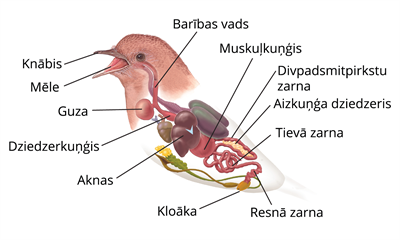 YCUZD_250610_7362_putns.png