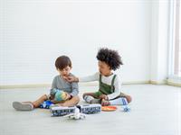 Shutterstock_1930906361_play_spēlēties.jpg