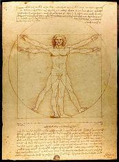 433px-Da_Vinci_Vitruve_Luc_Viatour.jpg