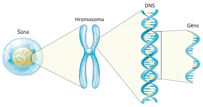 YCUZD_250328_7179_bio_4.png