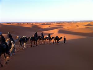 Shutterstock_402879451_camels in Sahara dessert_kamieļi Sahāras tuksnesī.jpg