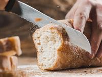 shutterstock_1023191101.jpg