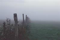fog-1494431_640.jpg
