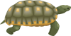 черепаха_bruņurupucis_turtle.png