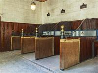 shutterstock_2487260291_stable_stallis.jpg