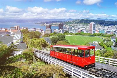 wellington.jpg