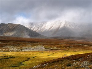 shutterstock_2058136592_tundra.jpg