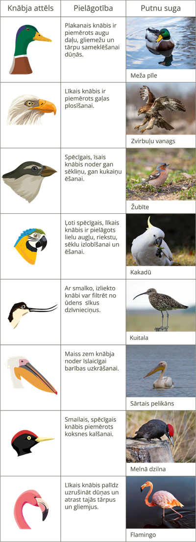 YCUZD_250714_7416_tabula2.png