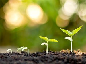 shutterstock_1906839595_growth_augšana.jpg