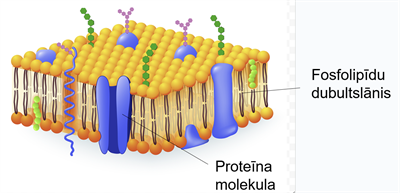 Screenshot 2026-01-22 103706.png