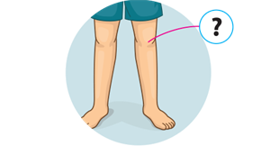 knees.png