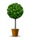 Shutterstock_288905420_decorative tree_dekoratīvs koks.jpg