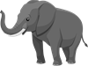 YCUZD_250219_elephant_zilonis.png