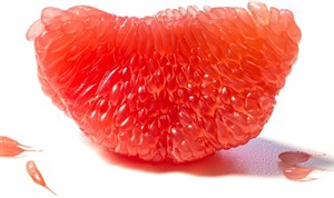 Shutterstock1922753687.jpg