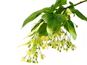 shutterstock_1764314645.jpg