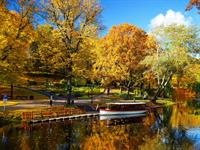Shutterstock_738065260_latvian autumn_rudens Latvijā.jpg