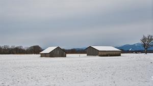 barn-6122359_960_720.jpg