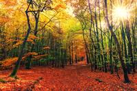 rudens_2.jpg