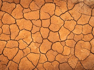 Shutterstock_2492608915_cracked ground_saplaisājusi zeme.jpg