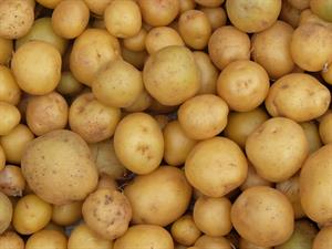 Shutterstock_2510309129_potatoes_kartupeļi.jpg
