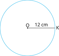 YCUZD_240624_6382_radiuss_10.png