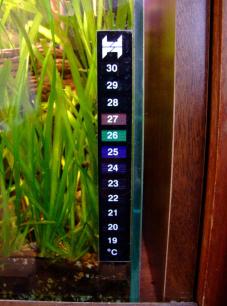 aquarium-thermometer.jpg