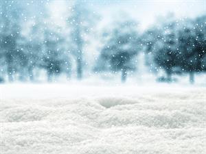 shutterstock_306991961.jpg