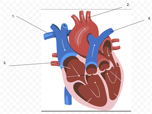 Screenshot 2025-12-04 003452.png