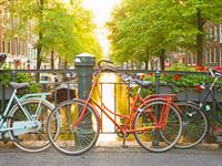 Shutterstock_162521966_bicycle_velosipēds.jpg