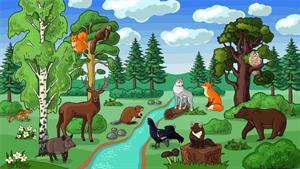 Shutterstock_2071517435_forest ecosystem_meža ekosistēma.jpg