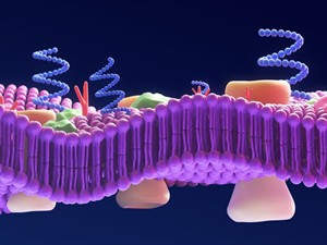 Shutterstock_2511942287_cell membrane_šūnas membrāna.jpg