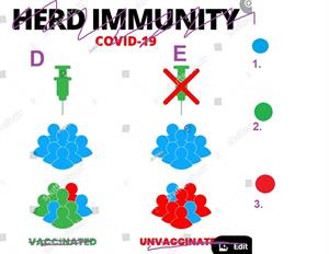 kolektīvā_imunitāte_3.JPG
