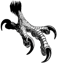 YCUZD_250413_7225_Ērgļa pēda.png