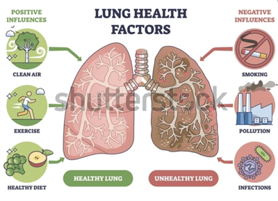 Screenshot 2026-02-11 154722.png