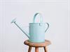 Shutterstock_1706968840_watering can_lejkanna.jpg