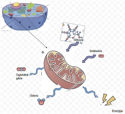 Screenshot 2026-02-09 131646.png