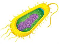 shutterstock_177302135.jpg