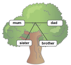 family_tree0.png
